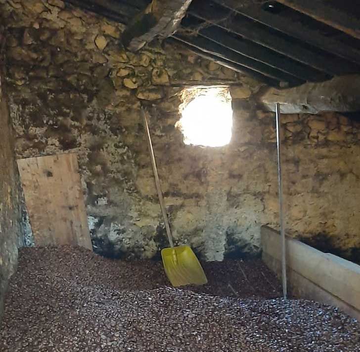 Processo essicazione castagna mosciarella