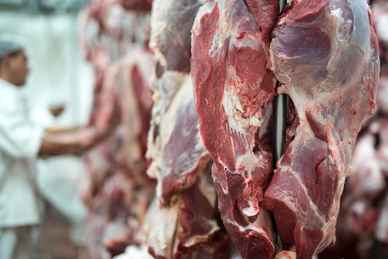 Allevamento Carne Biologica Lazio